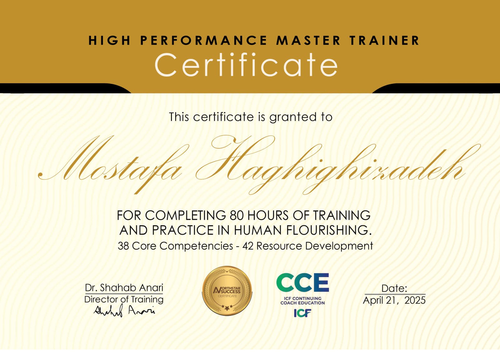 Mostafa Haghighizadeh Certificate 01