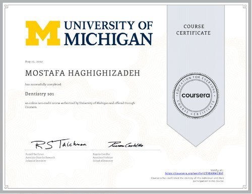 Mostafa Haghighizadeh Certificate 06